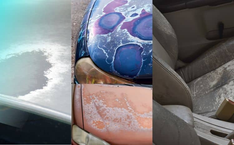  5 Signs It’s Time for Your Car to Visit CarOne. Recognizing When Your Vehicle Needs Detailing Care